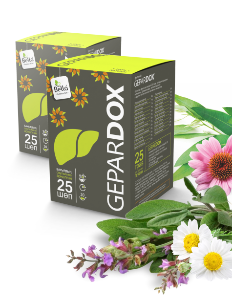 GeparDOX